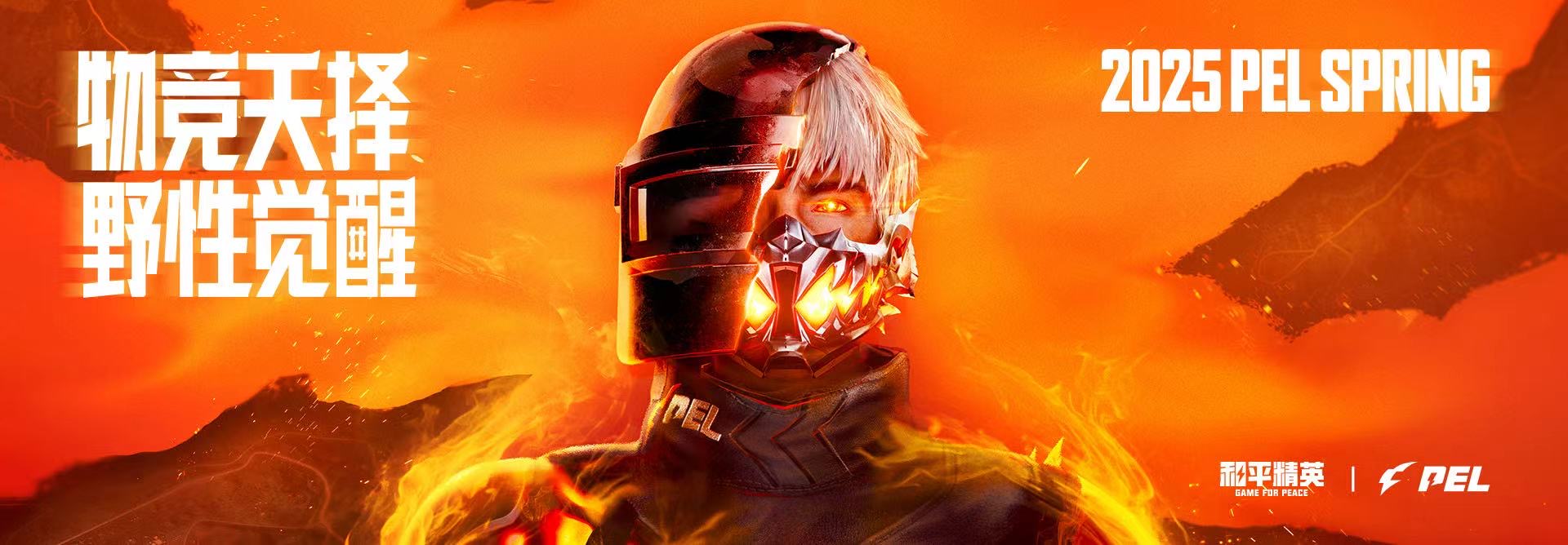 和平精英辅助软件的发展与影响分析